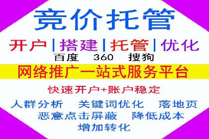 SEM托管服务案例：优化策略与效果展示